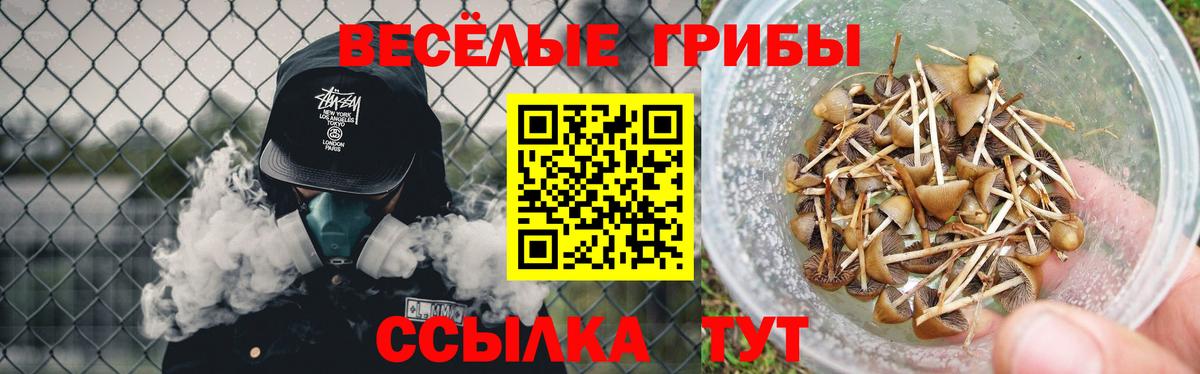 Галлюциногенные грибы MAGIC MUSHROOMS Александров